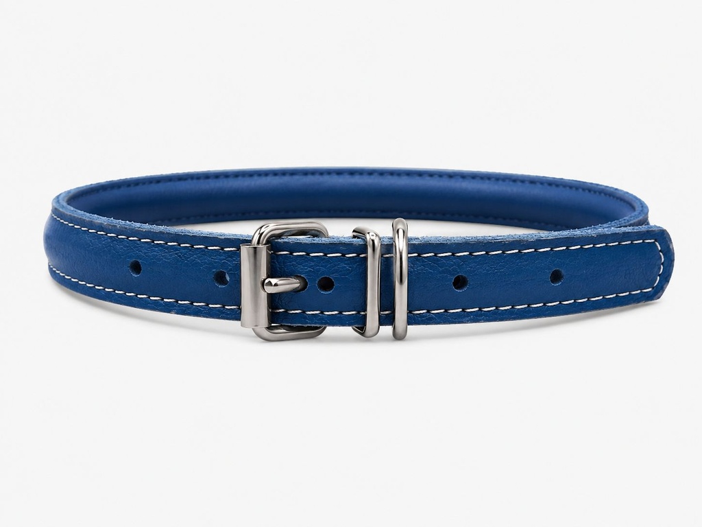 [785] Accessories بيفور Others DOG collar round Elit blue