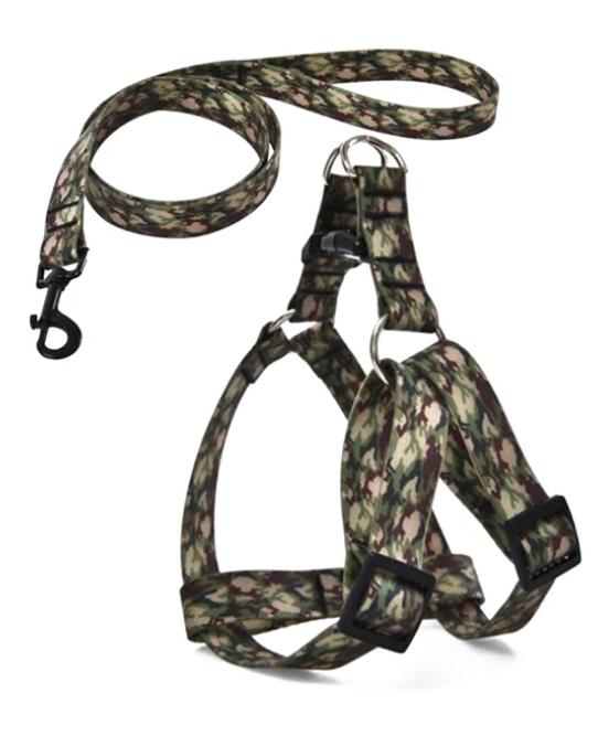 Naomi - Dog Harnees & Leash - S