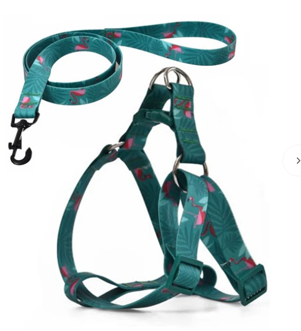 Naomi - Dog Harnees & Leash - L