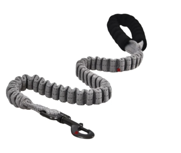 Naomi - Dog Leash