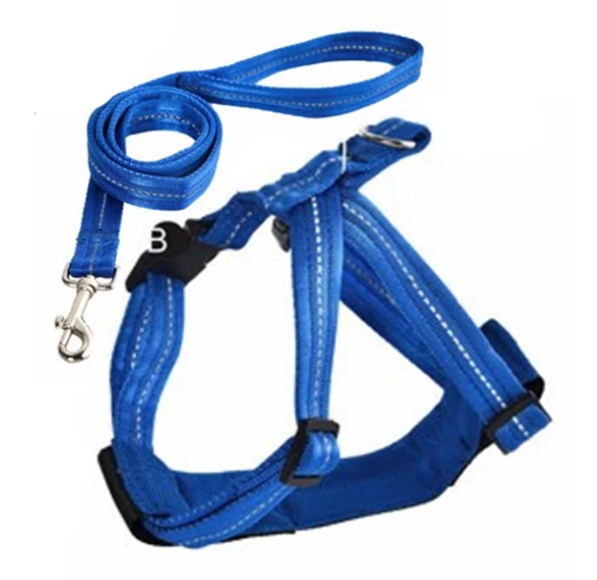 Naomi - Dog Harnees - Blue - M