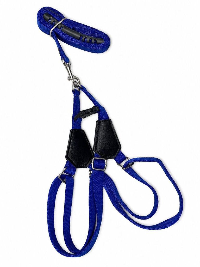[8000552] Lino - Harness + Leash - XS