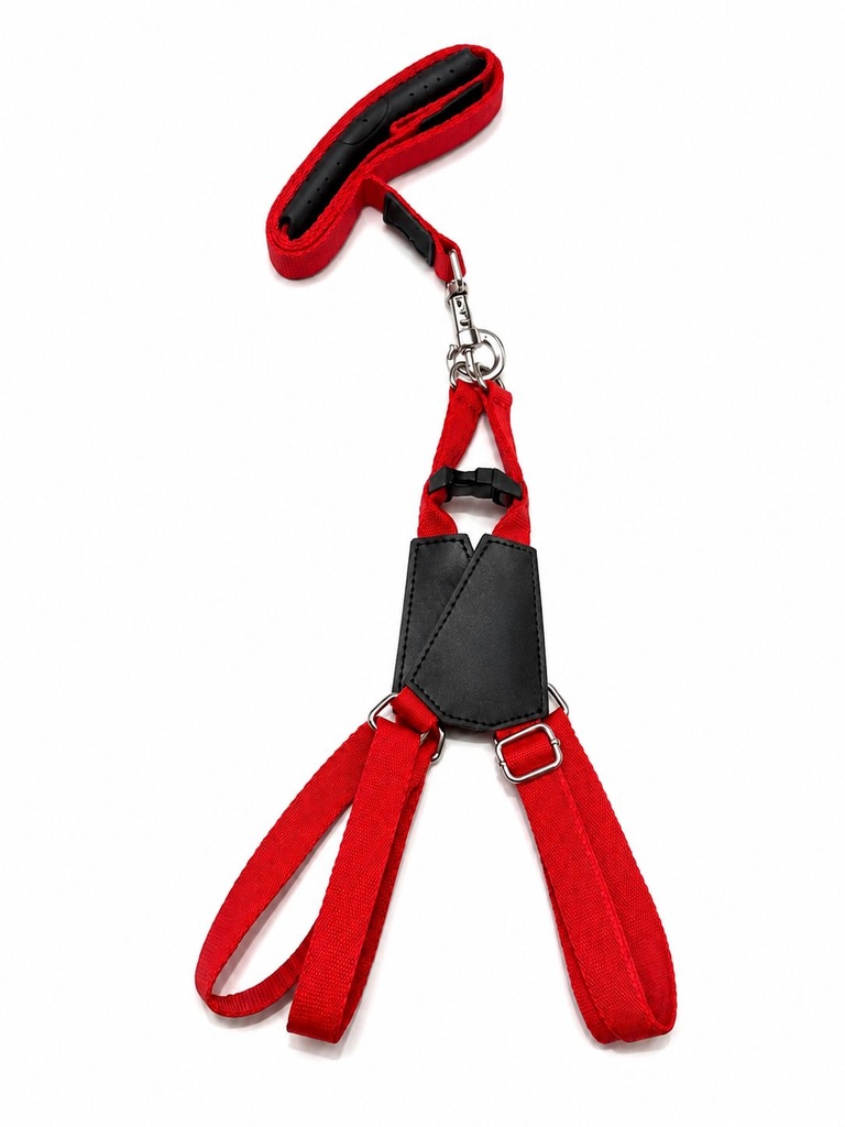 Lino - Harness + Leash - L