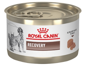 [8000785] Royal Canin - Can Food - Recovery - 195 gm