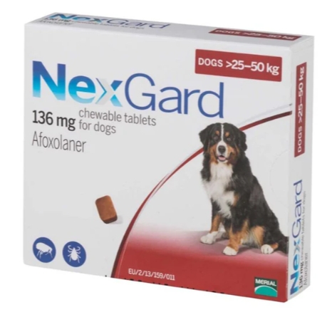 NEXGARD (1TAB) DOG